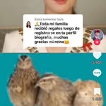 Denis Hamel - @denis.hamel.169 - Instagram