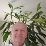 Denis Hamel - @denis.hamel.5851 - Instagram