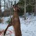 Denis Houle - Facebook