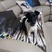 Dennis Hunt - Facebook