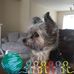 Denis Kelleher - Facebook