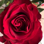 Denise Keller - @denise.keller.359 - Instagram