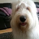 denis lang - @denis.lang - Instagram