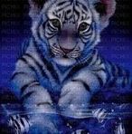 Denis Larose - Facebook