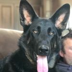 Denis Levesque - @denis.levesque.129 - Instagram