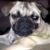 Dennis Madden - Facebook