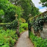 Denis Mathews - @denis.mathews.148 - Instagram