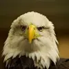 Dennis Mathieu - @dennis.mathieu - TikTok