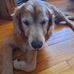 Denis Roger Mayer - Facebook