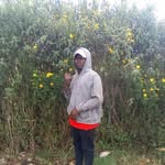 Denis mburu kuria - @denismburukuria - Instagram