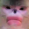 Denis Mchugh - @denis.is.a.qt - TikTok