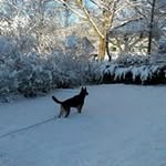 Denis Mckeeney - @denismckeeney - Instagram