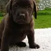 deniseamclaughlin - @deniseamclaughlin - TikTok