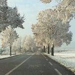 Denis Meier - @meier.denis - Instagram