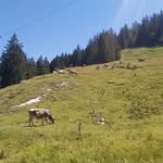 Denis Meier - @d3nise.m3ier - Instagram
