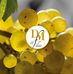 Vins Denis Meyer et Filles - Facebook