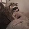 Denise Mora - @denise.mora7 - TikTok