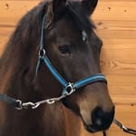 Denise Morrow - @denise.morrow.798 - Instagram