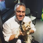 Denis Muller - @denismuller128 - Instagram
