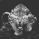 Denis Muniz Neves - @denismunizneves - Instagram