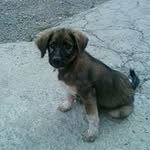 Denis Murati - @murati1433 - Instagram