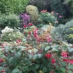 Denis Murray - @denis.murray.792 - Instagram