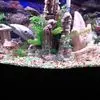 Dennis Nicholson - @dennis.nicholson7 - TikTok
