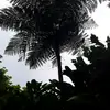 Denise Noel - @denisenoel4 - TikTok