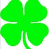 Denis O'Brien - @hd1550bigbore - TikTok