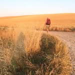 Denis O'Brien - @denis.obrien.754 - Instagram