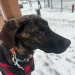 Denis O’Connor - @do4atl - Instagram