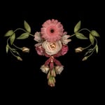 Denis oconnor sisters - @_doc_sisters_ - Instagram