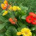 Denise ONeil - Facebook