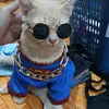 denis oyen kucing bar bar - @denis.oyen.kucing - TikTok