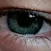Denis Paradis - @denis.paradis - TikTok