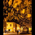 Denis Paradiš - @denis_paradis1 - Instagram