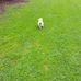 Denis Morrissey Park - Facebook