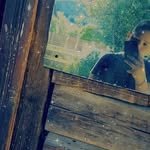 Denis Paul - @denis_paul__123_ - Instagram
