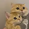 denispaul - @denispaul38 - TikTok