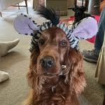 Denise Peck - @denise.peck.5268 - Instagram