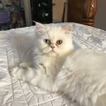 Denise Pennington - @denisepennington966 - Instagram
