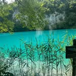 @denis_peric_pv - Instagram
