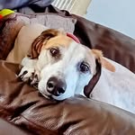 Denise Pickering - @denise.pickering1 - Instagram