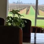 Denise Pickering - @pickering.denise - Instagram