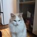 Denis Pilon - Facebook