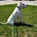 Denise Pilon - Facebook