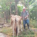 Denis Pinto - Facebook