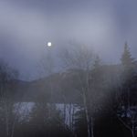 Denise Plante - @denise.plante.528 - Instagram