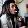 Patchoul Denis.plouffe - @patchoul.denis.pl - TikTok