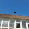 Dennis pool - @dennis858995 - TikTok